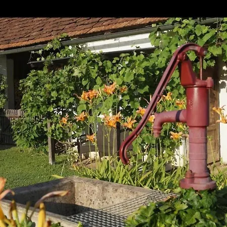 Vulcania - Idyllisches Gaestehaus Mit Pool Апартаменты *